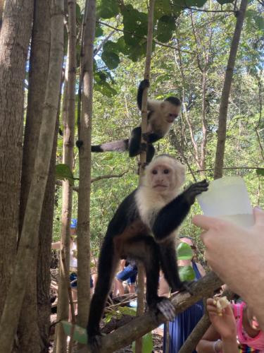 Costa Rica