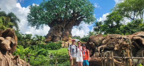 Animal Kingdom Jennifer