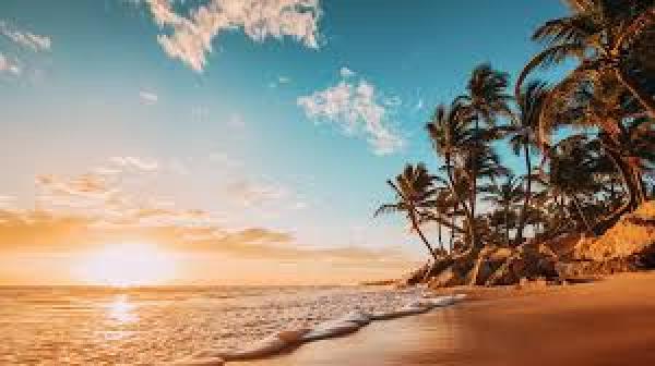Photo from a Sunwing Vacations journey