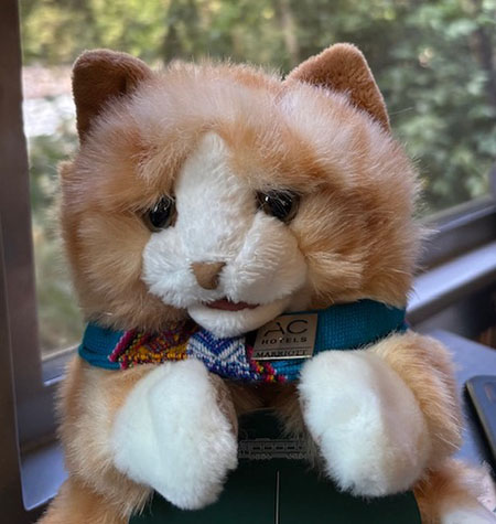 Portrait photo of Atlas, travel agent